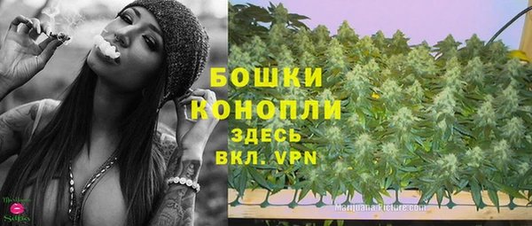 марки lsd Бородино