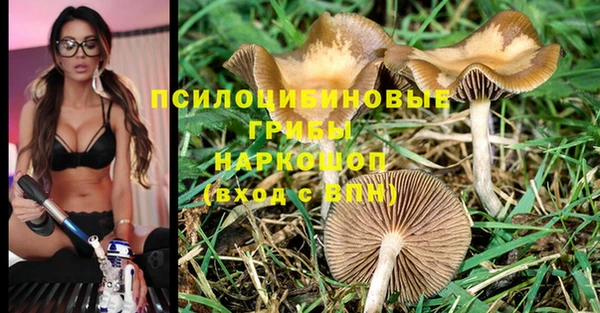 дурь Бугульма