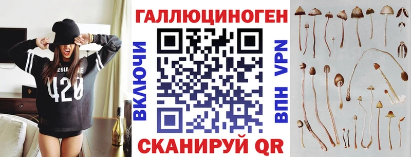 Псилоцибиновые грибы Magic Shrooms  Новосокольники 